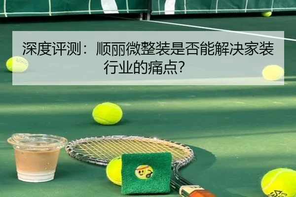 深度评测：顺丽微整装是否能解决家装行业的痛点？ | leyu