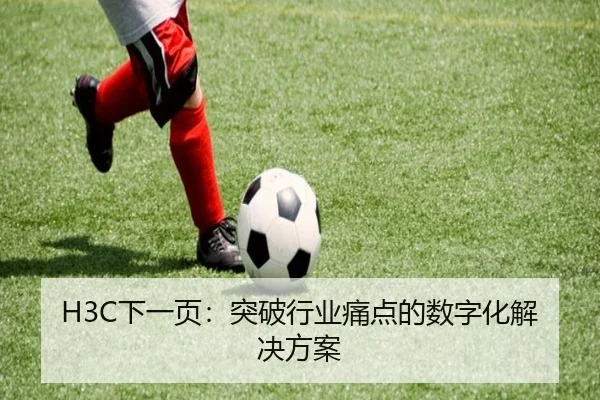 H3C下一页：突破行业痛点的数字化解决方案 | leyu
